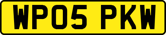 WP05PKW