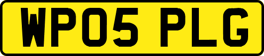 WP05PLG