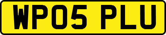 WP05PLU