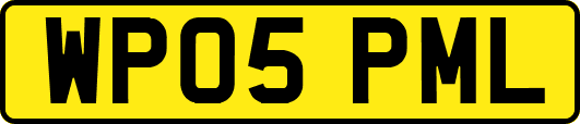 WP05PML