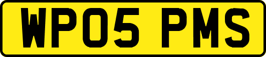 WP05PMS
