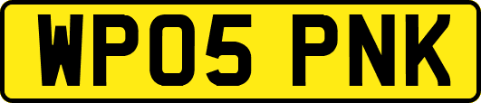 WP05PNK
