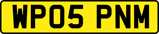 WP05PNM