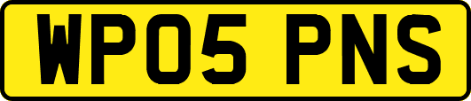WP05PNS