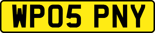 WP05PNY