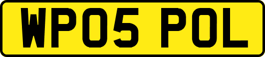 WP05POL