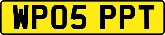 WP05PPT