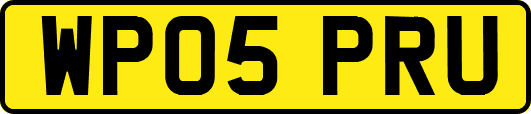 WP05PRU
