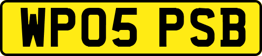 WP05PSB