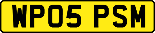 WP05PSM
