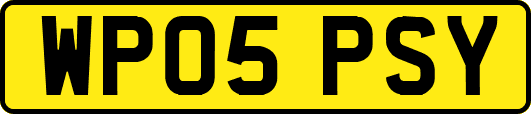 WP05PSY