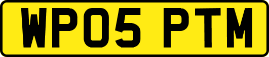 WP05PTM
