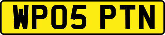 WP05PTN