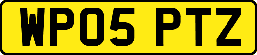 WP05PTZ