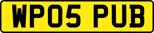 WP05PUB