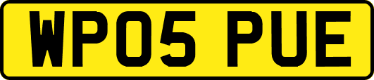 WP05PUE