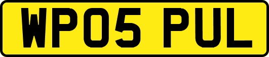 WP05PUL