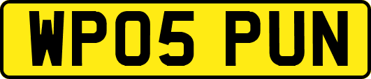 WP05PUN