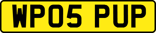 WP05PUP