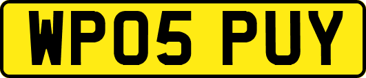 WP05PUY