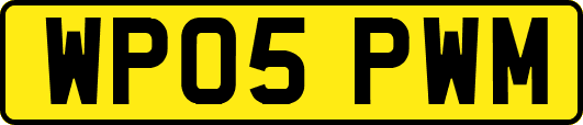 WP05PWM