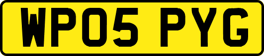 WP05PYG