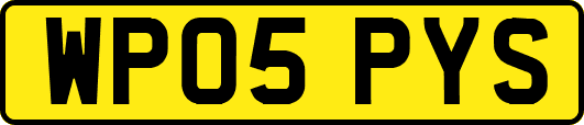 WP05PYS
