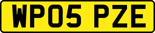 WP05PZE