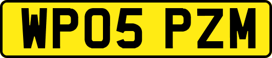 WP05PZM