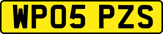 WP05PZS