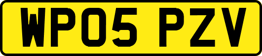 WP05PZV