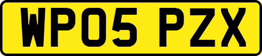 WP05PZX