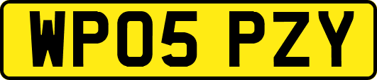 WP05PZY