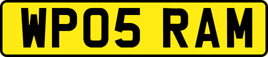 WP05RAM