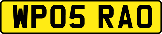 WP05RAO