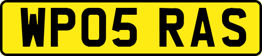 WP05RAS