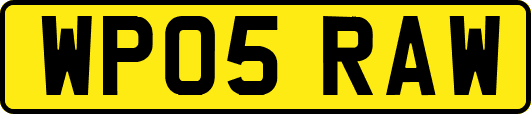 WP05RAW