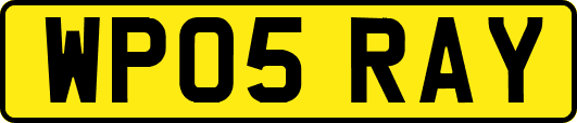 WP05RAY