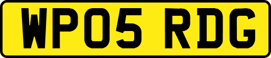 WP05RDG