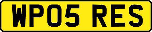 WP05RES