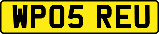WP05REU