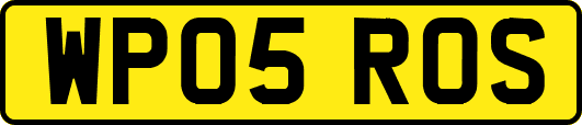 WP05ROS