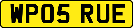 WP05RUE