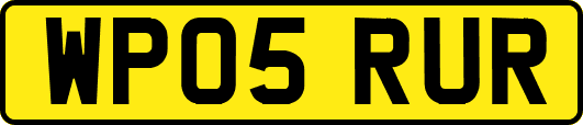 WP05RUR