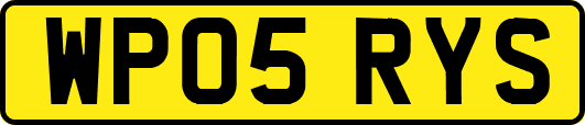 WP05RYS