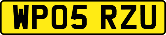 WP05RZU
