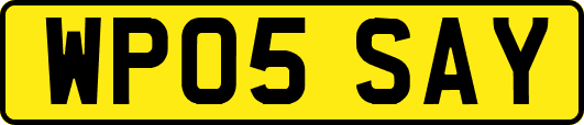 WP05SAY