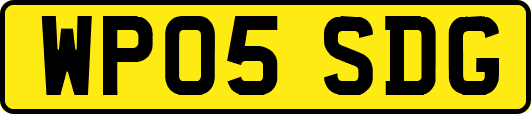 WP05SDG
