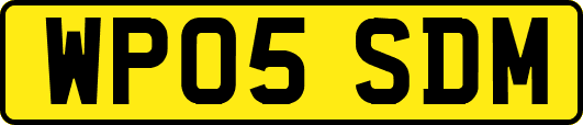 WP05SDM
