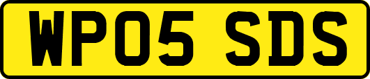 WP05SDS